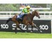  Carrera: G.P Beamonte Oaks Caballo: Sweet Caroline Monta: S.de Sousa
